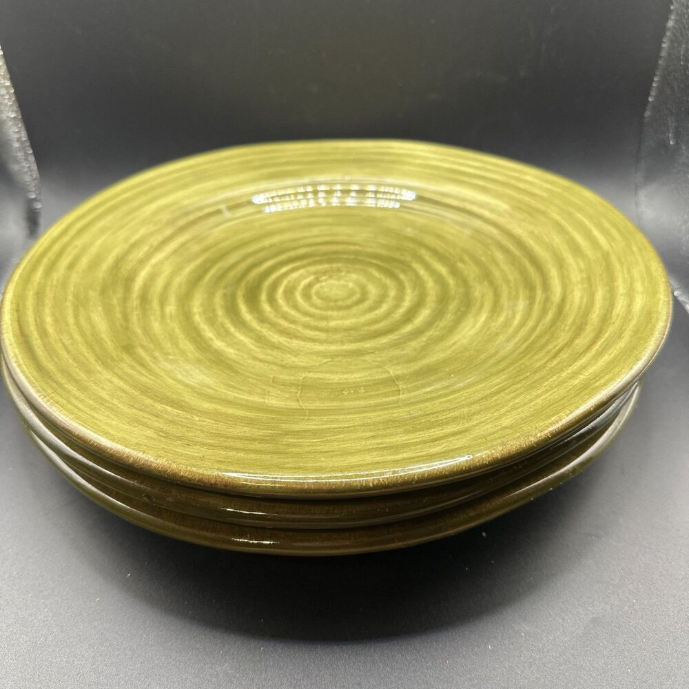 Linens-N-Things Solid Green, Embossed Rings, Smooth Olive Green Dinner Plate (3)